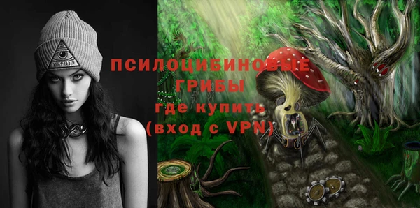 гидра Баксан