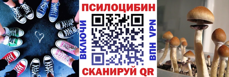 Псилоцибиновые грибы прущие грибы  Петровск-Забайкальский 