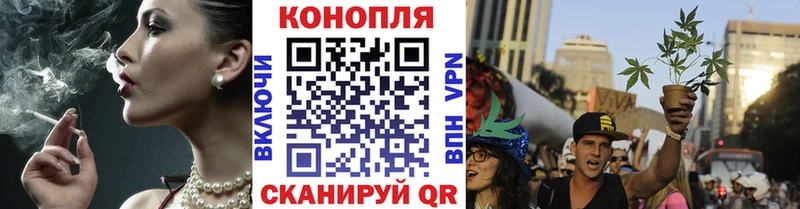 Каннабис сатива  купить закладку  mega ONION  Петровск-Забайкальский 